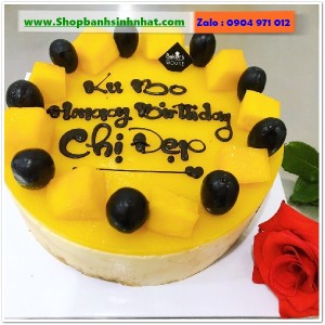 Bánh Sinh Nhật Sữa Tươi - AA569